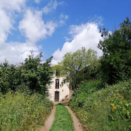 La Peonia Casa Vacanze In Montagna Prato Verde Panorama Stupendo Sardegna Seùlo Zewnętrze zdjęcie