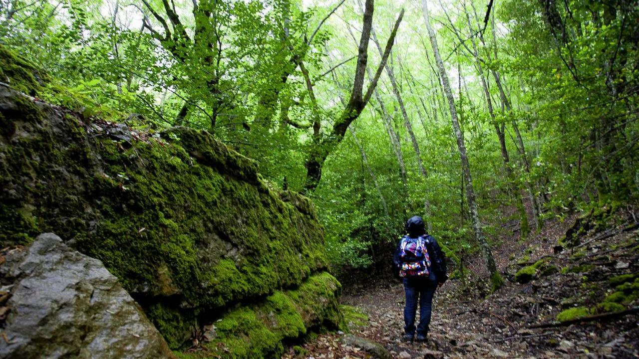 La Peonia Casa Vacanze In Montagna Prato Verde Panorama Stupendo Sardegna Seùlo Zewnętrze zdjęcie