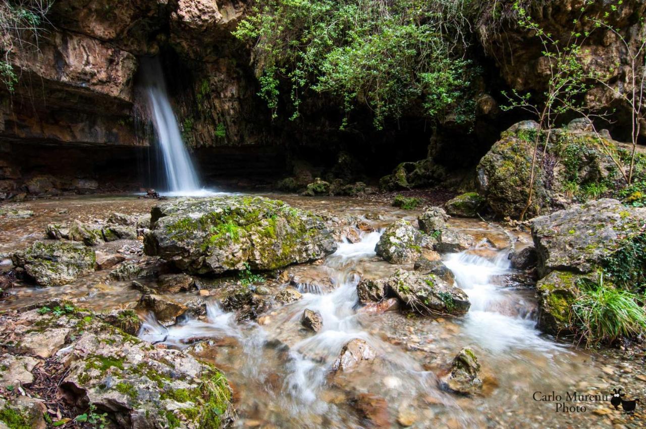 La Peonia Casa Vacanze In Montagna Prato Verde Panorama Stupendo Sardegna Seùlo Zewnętrze zdjęcie